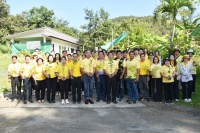 Click image Full size