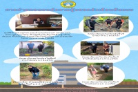 Click image Full size